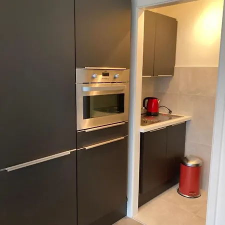 Volledig Gerenoveerd Met Zeezicht *